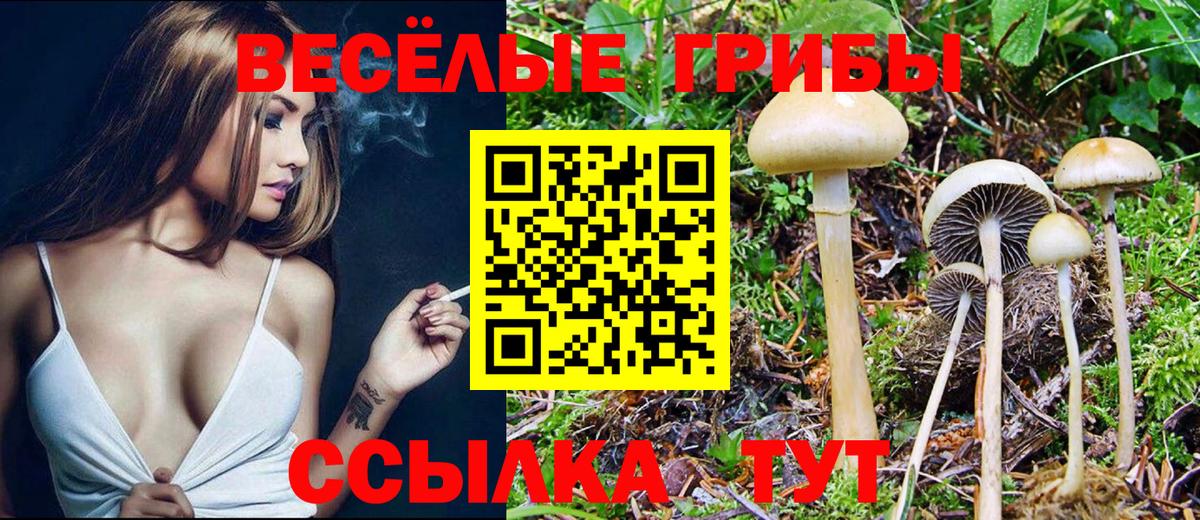 Галлюциногенные грибы Magic Shrooms  Вход с VPN  Лесной  Галлюциногенные грибы Cubensis 