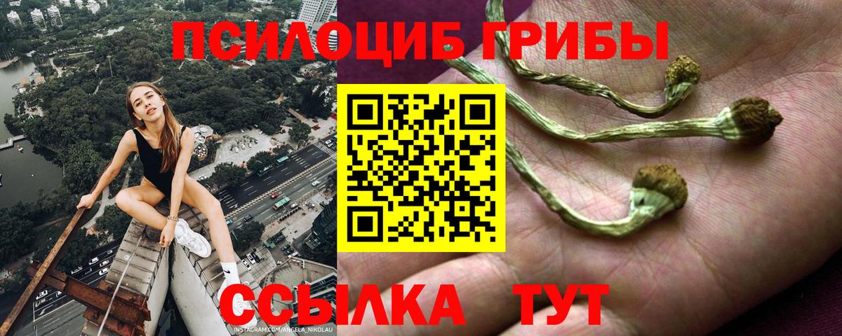 ГАШ  Альфа ПВП СК   Вход с VPN  КОКАИН  Лесной  МАРИХУАНА  Меф  МЕФ  