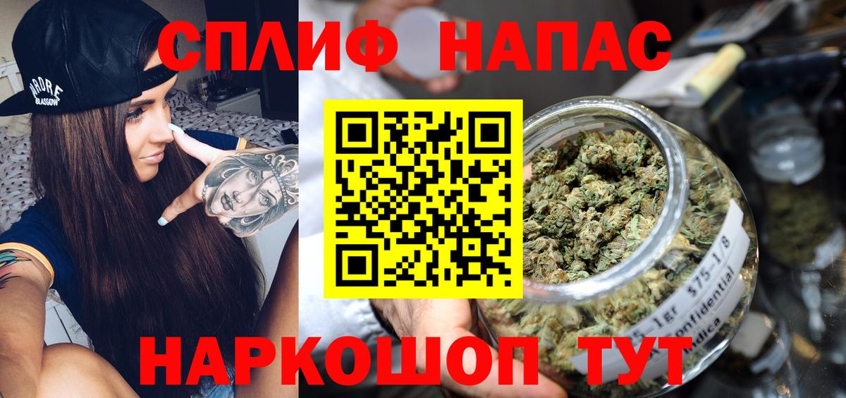 Канабис планчик Лесной
